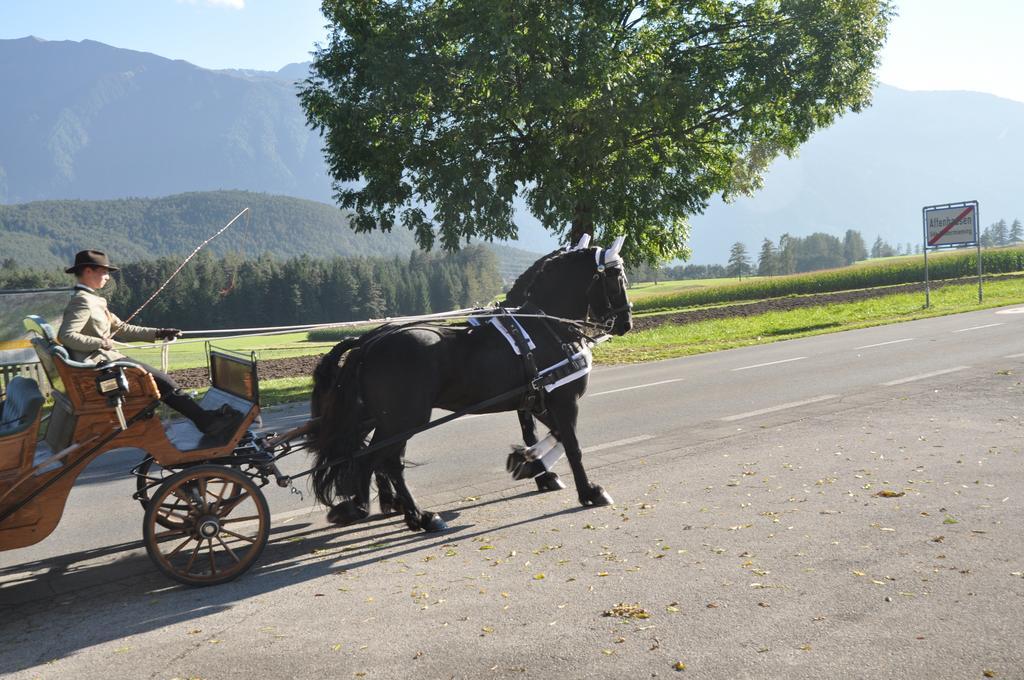 Hotel Aktiv-hotel Traube Wildermieming