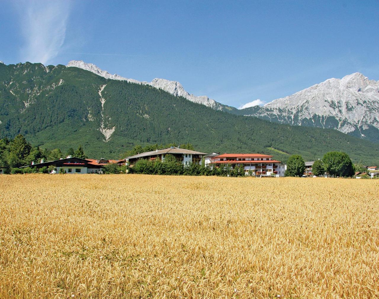 Aktiv-hotel Traube Hotel